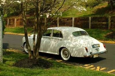 A Classic Rolls Royce for the discerning Bride & Groom!