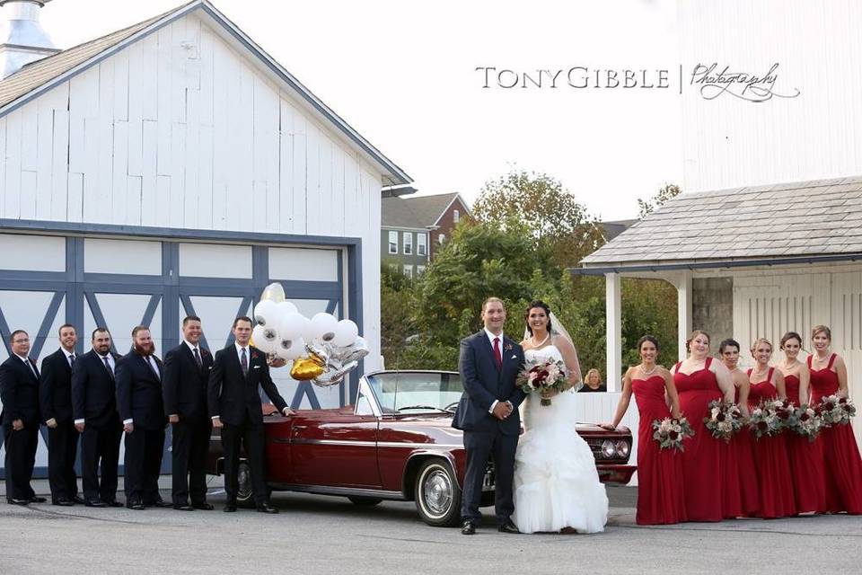 The couple with the bridesmaids and groomsmen