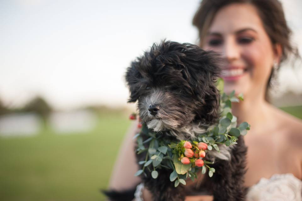 Dog with flower ornaments