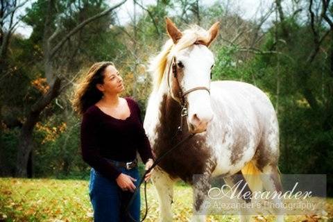Alexander's Photography