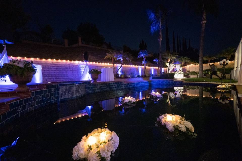 Lighting Backyard Wedding