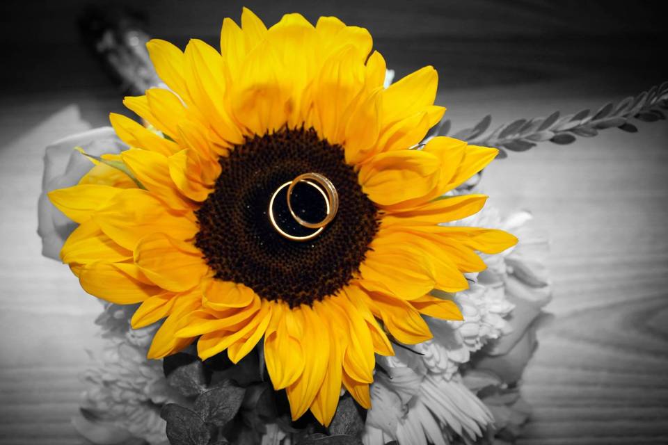 Lynne Davis Photography