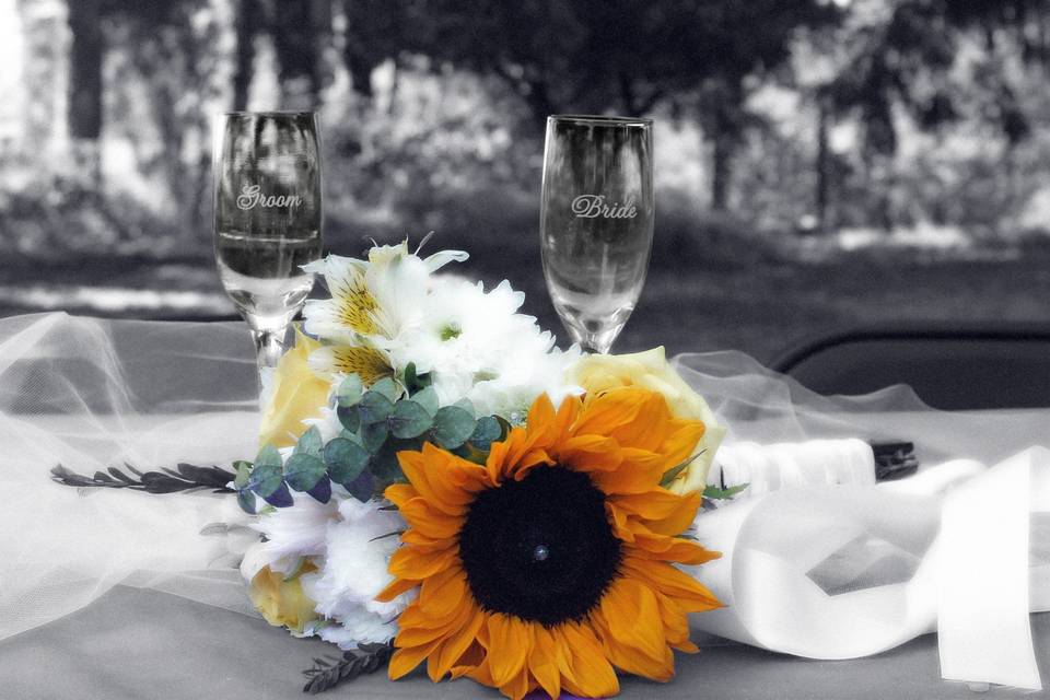 Lynne Davis Photography