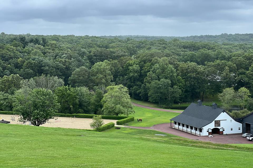 Pastures