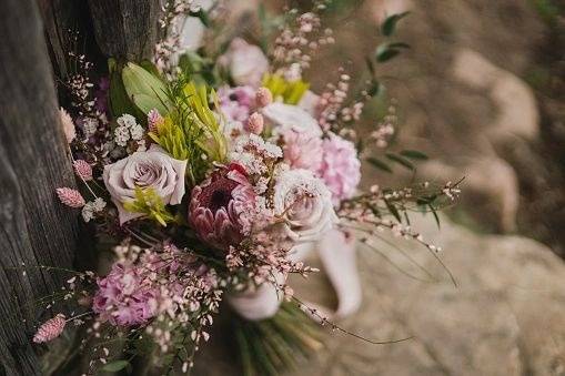 Fleurs par Mia