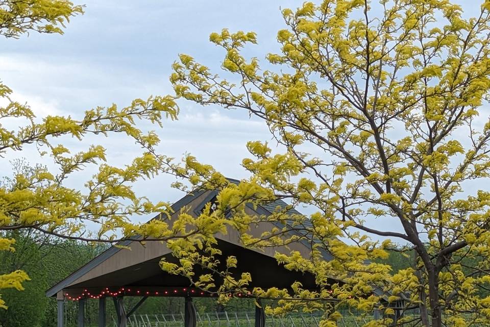 Pavilion for ceremony