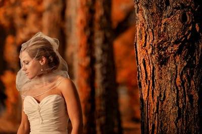 Bridal portrait