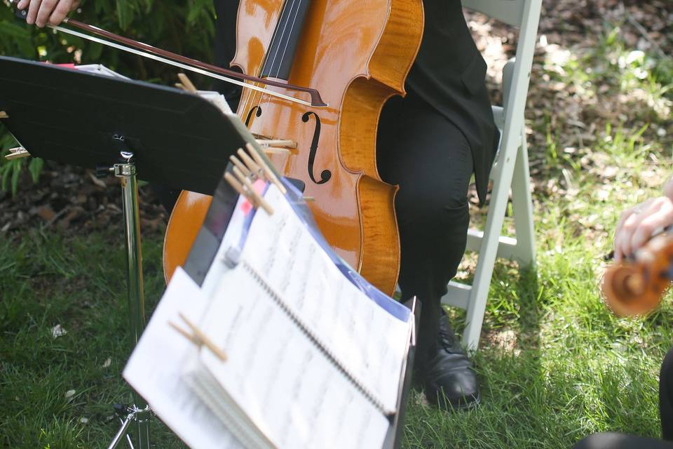 Cellist