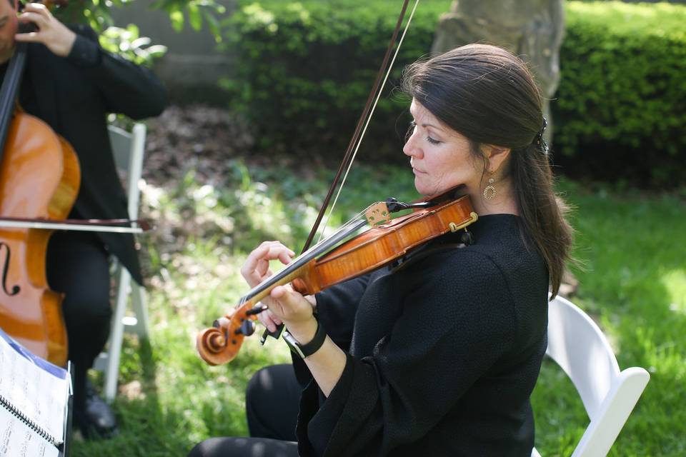 String Trio