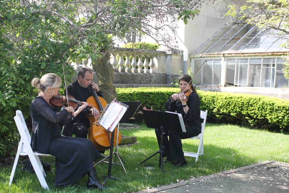 String Trio