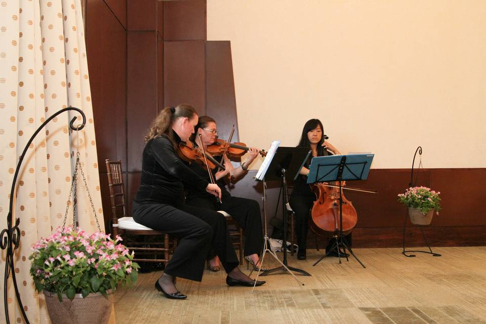 String Trio