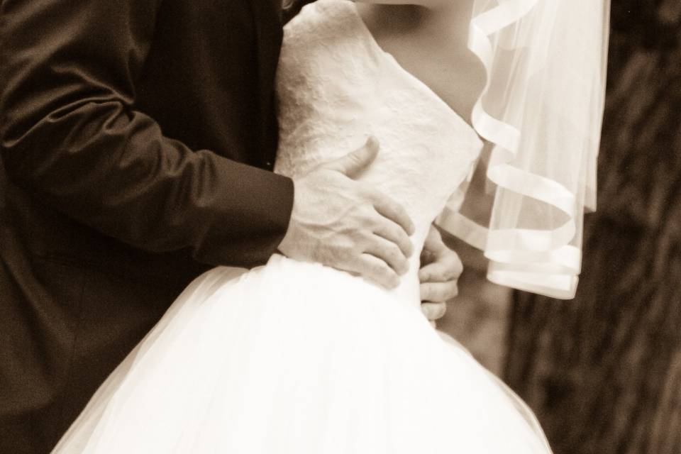 Misty Dawn Photography