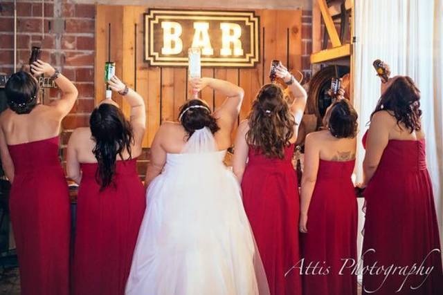 Bride and bridesmaids