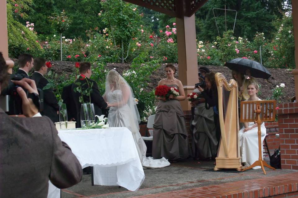 Even a wet wedding can be enhanced by harp - so long as it is under cover!