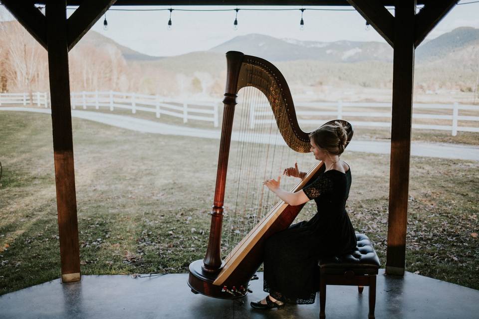Outdoor wedding harp