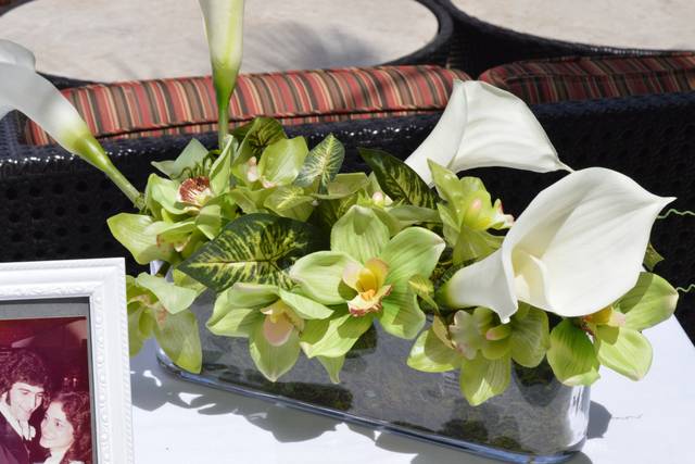 Gaia Flowers, Plants and Gifts