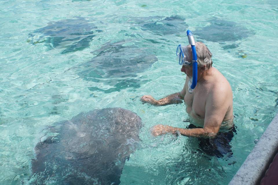 Snorkeling with sharks and rays is a must do activity in Bora Bora.  It's one of the most exciting things we've ever done.