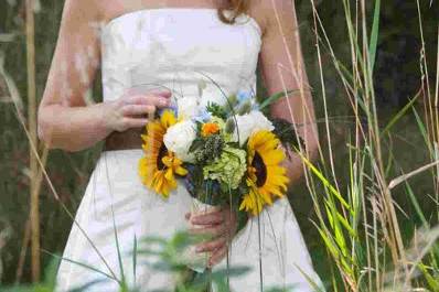 Sara Carlson Photography
