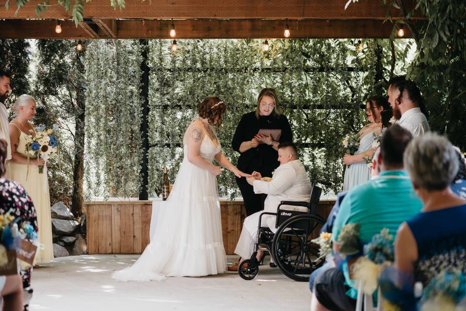 Photo: Timeless Tree Weddings