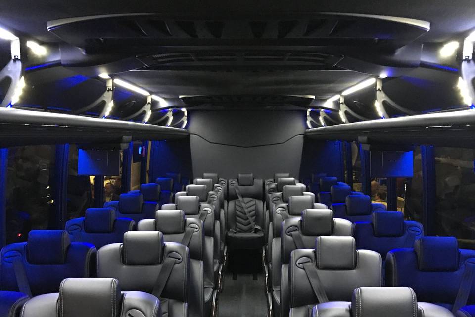 31 passenger luxury minibus interior