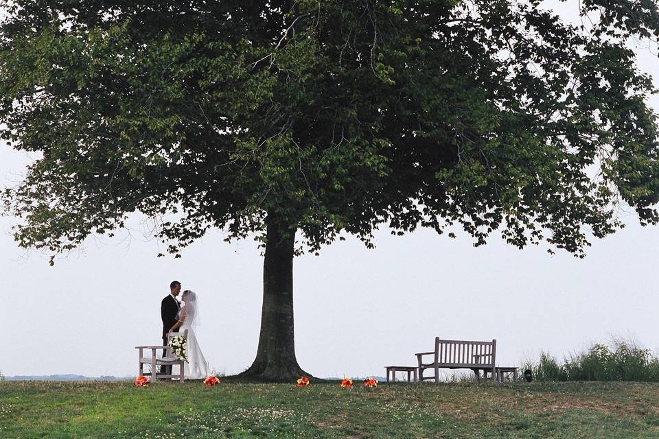 Chesapeake Hyatt Wedding