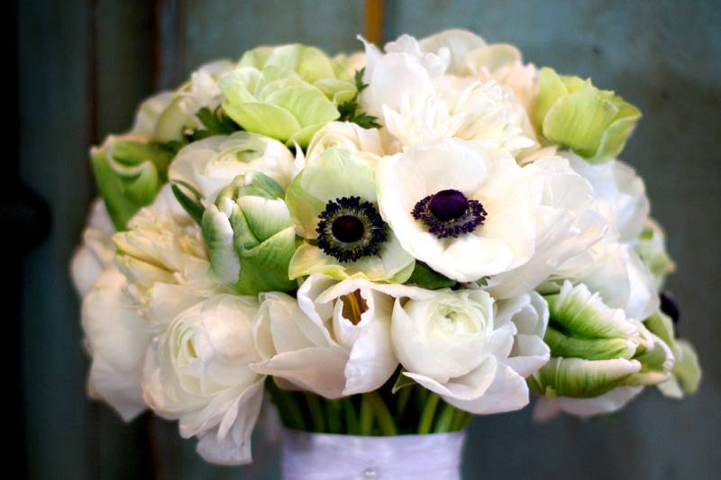 Simple white daisy bouquet