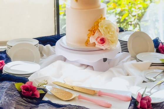 Two Tiered Mini Wedding Cake