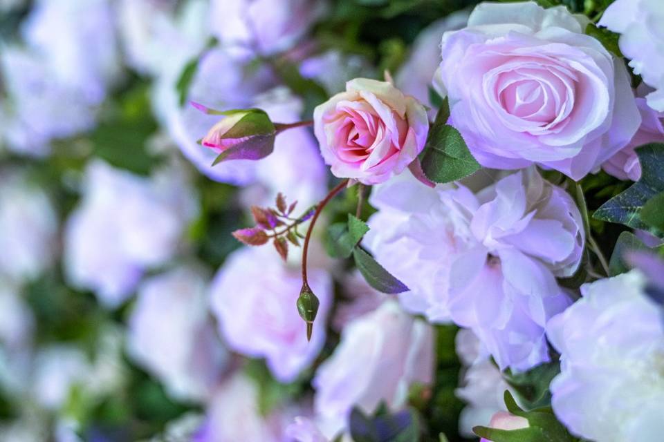 Beautiful pop out floral backd