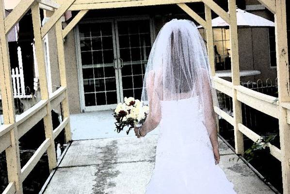 Dawn Marie Photography