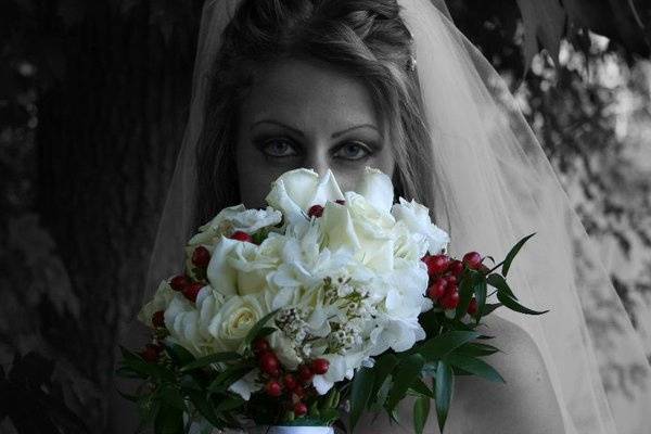 Dawn Marie Photography
