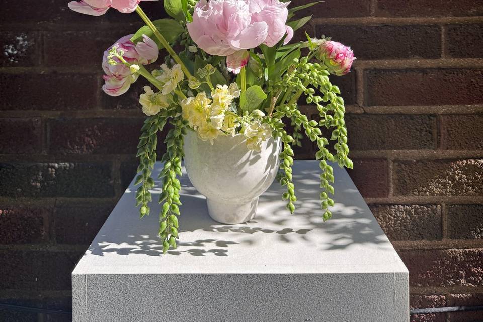 Peonies medium