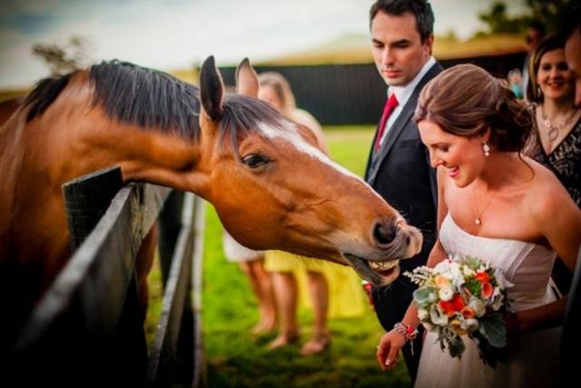 Wedding couple
