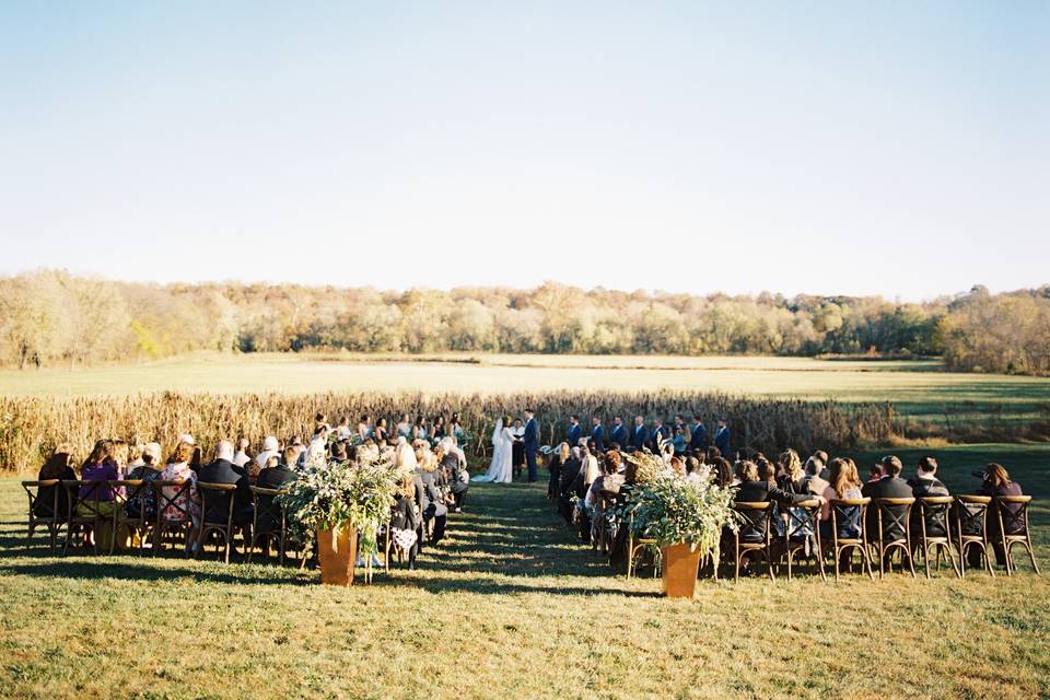 Fall Ceremony by the Cattails