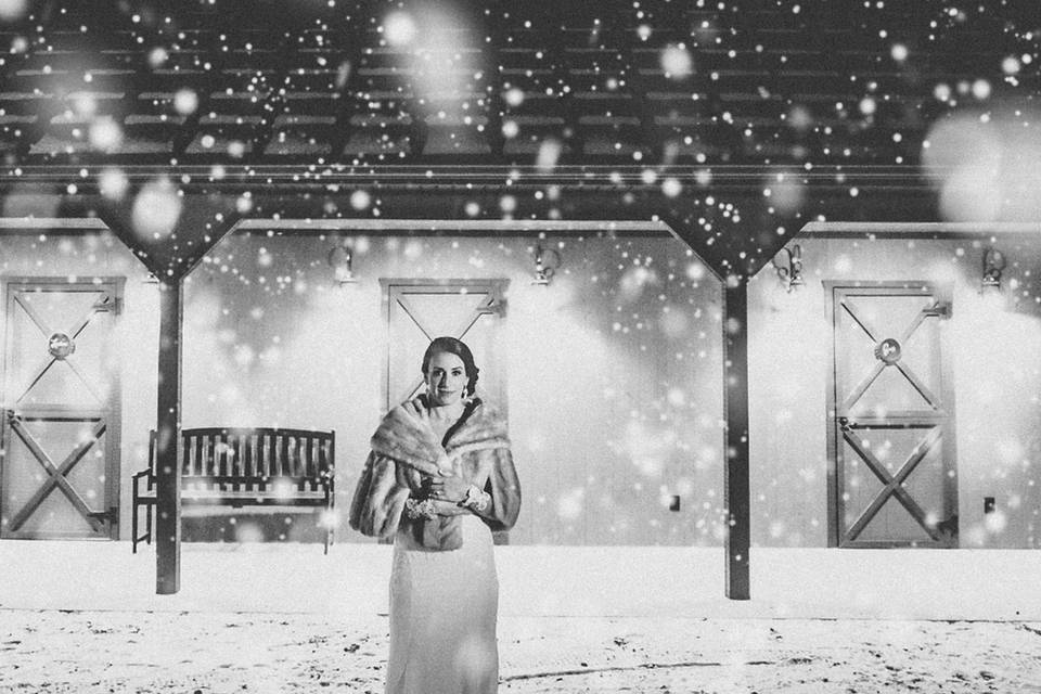 Snowy Bride