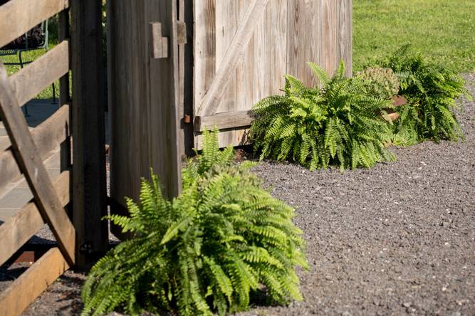 Ceremony Entrance