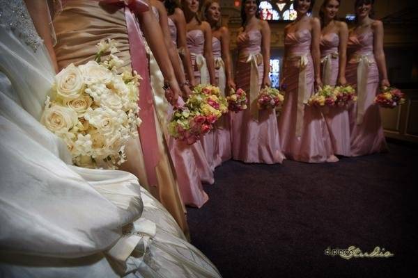 Bride and bridesmaids - D. Pierce Studio