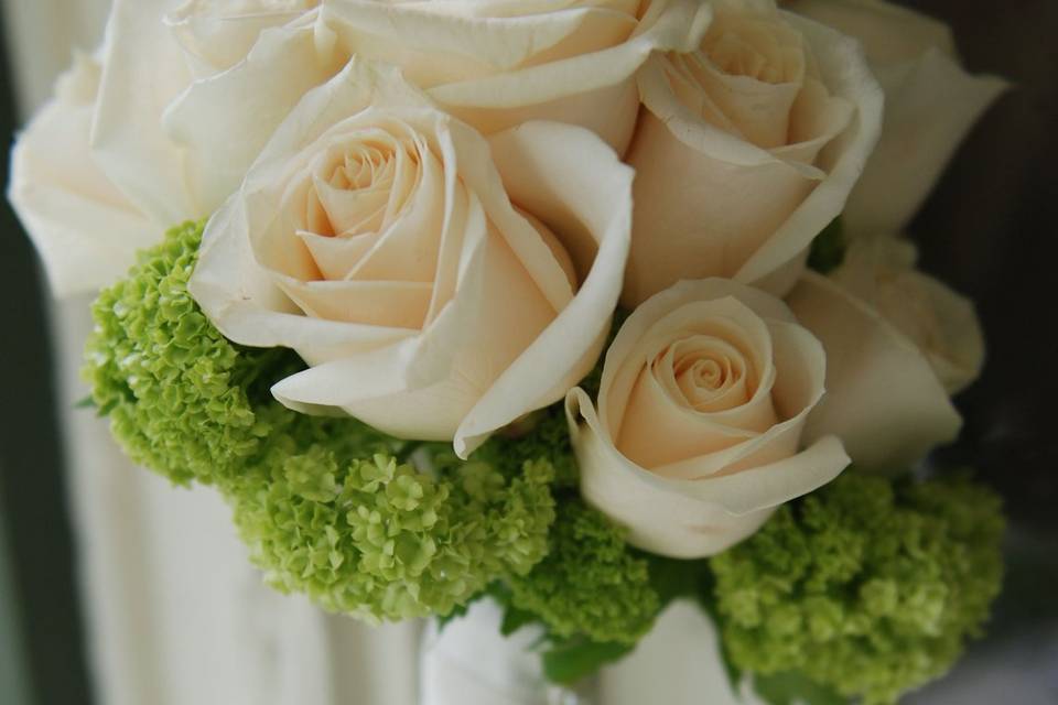 White roses