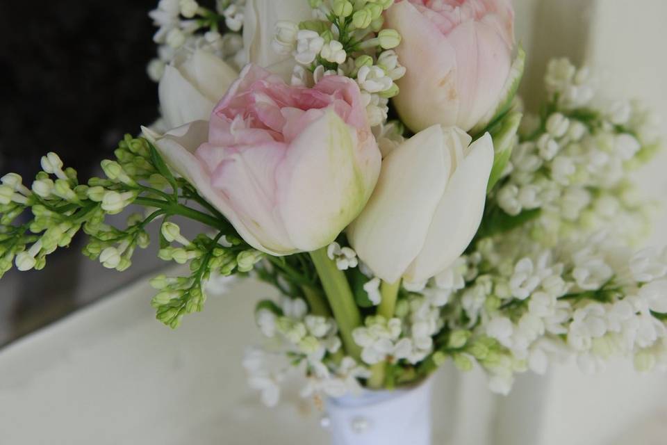 Pink roses and baby's breath