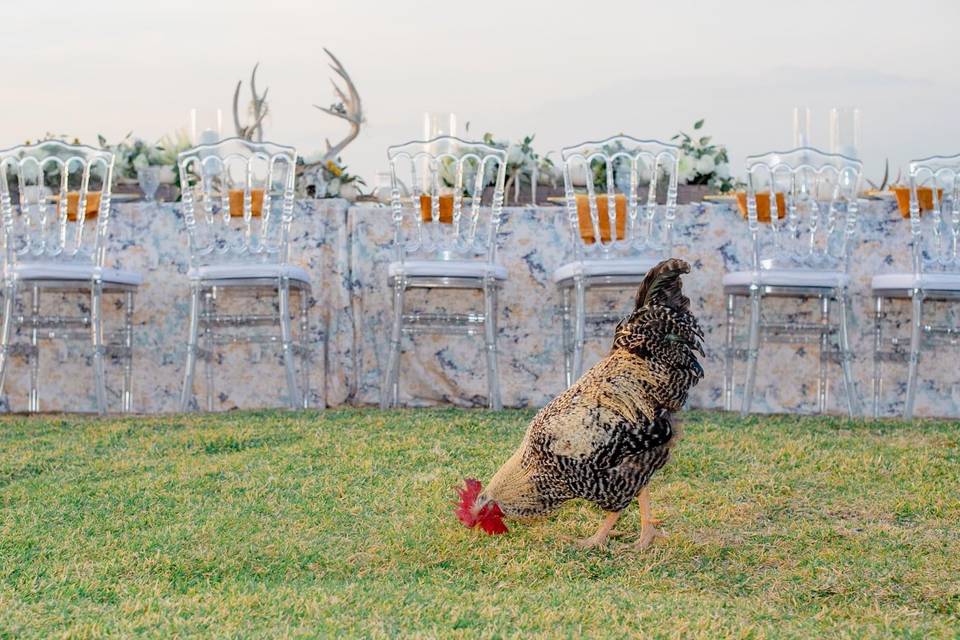 Harvest Wedding