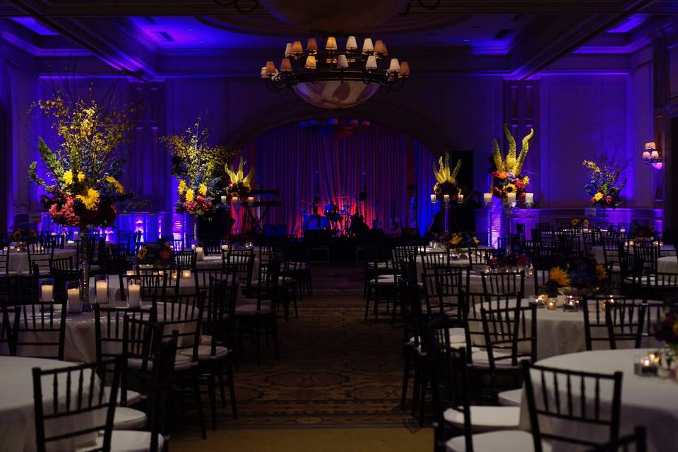 Uplighting Reception