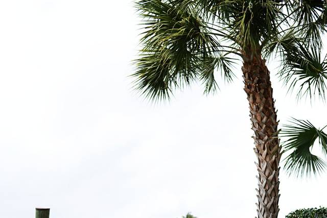 Residence Inn Fort Lauderdale Intracoastal/Il Lugano
