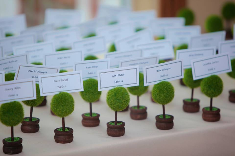 Mini trees served as escort cards.
