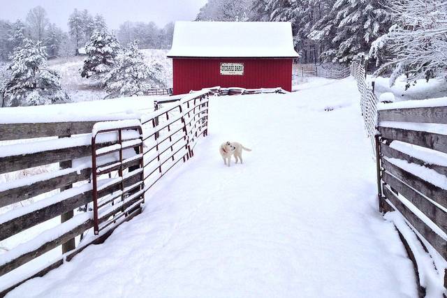 The Orchard Barn