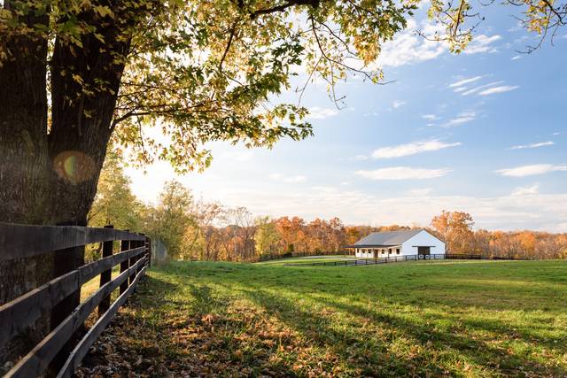 Mount Hebron Farm