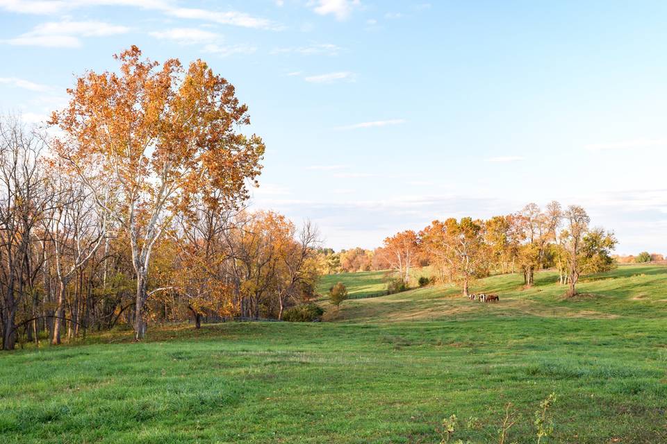 Mount Hebron Farm