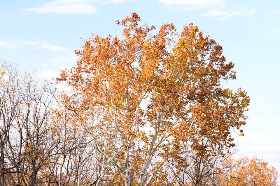 Mount Hebron Farm