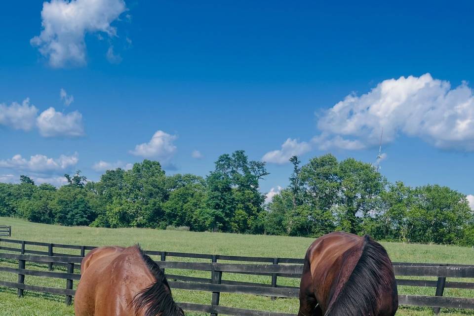 Mount Hebron Farm