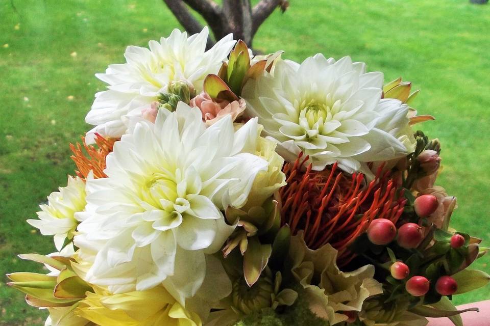 Bridal bouquet of dahlias, pincushion protea, hypericum berry, hanging amaranthus and a burlap and lace stem wrap