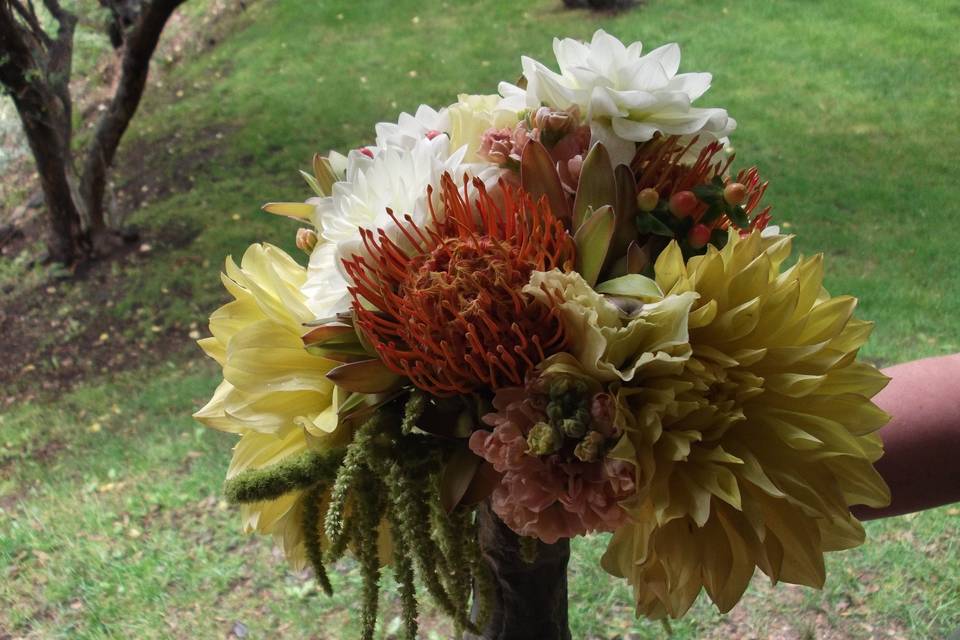 Bridal bouquet of dahlias, pincushion protea, hypericum berry, hanging amaranthus, millet and a burlap/lace stem wrap