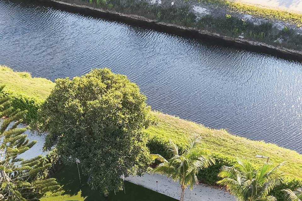 Drone Views